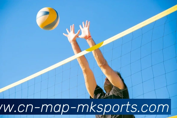 多媒体互动体验